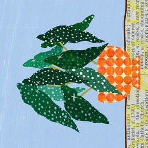 Spotted begonia paper collage