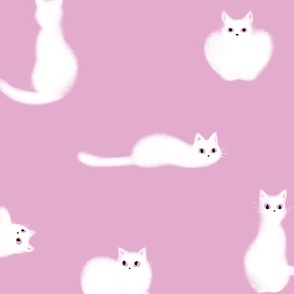 Purple Fluffy White Cat | SUPERSIZED (WALLPAPER)