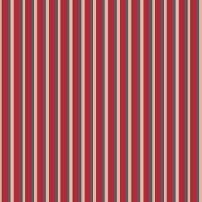 348 - Red, Blush and chocolate brown stripe coordinate - 100 Patterns Project:  large scale for wallpaper, home décor, pet accessories