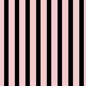 Halloween Stripe - Candy Pink/Black