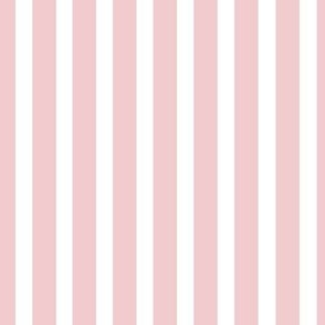 Candy Stripe - Pink/White