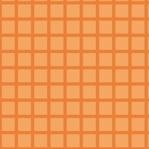 Grid in Apricot and Mandarin