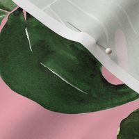 monstera tropical leaves on baby pink - medium