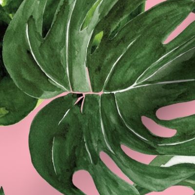 monstera tropical leaves on baby pink - medium