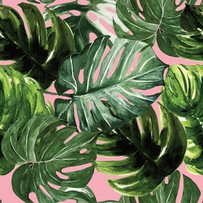 monstera tropical leaves on baby pink - medium