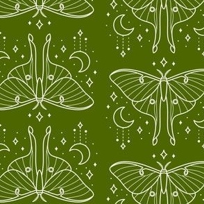 Luna Moth on Green