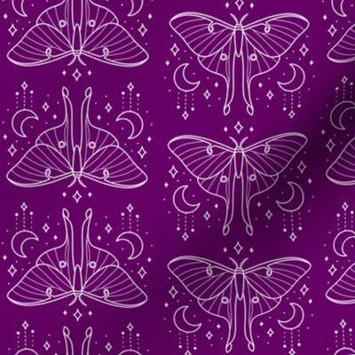 Luna Moth on Purple