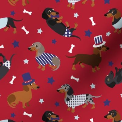 Patriotic Dachshund All Coats Red