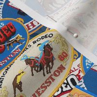 hesston rodeo finals patches
