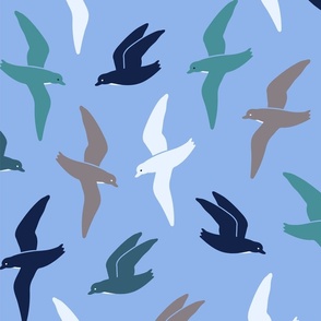 seagulls flying on blue