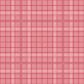 plaid_watermelon_DF737B_red