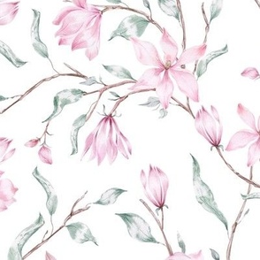   Branches of pink magnolia on a white background