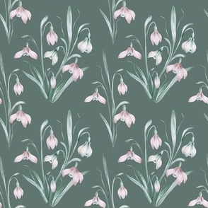 Vintage snowdrops. Dusty green background.