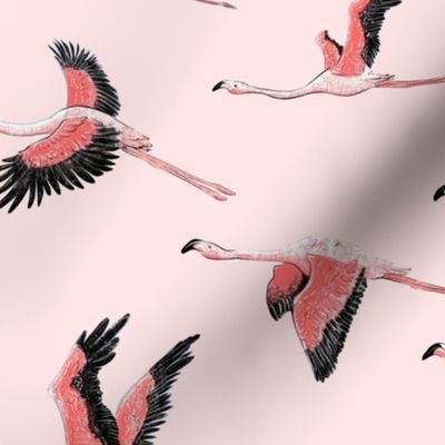 Flamingos from Lake Nakuru on baby PINK_medium scale