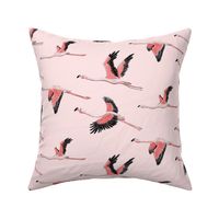 Flamingos from Lake Nakuru on baby PINK_medium scale