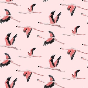 Flamingos from Lake Nakuru on baby PINK_medium scale