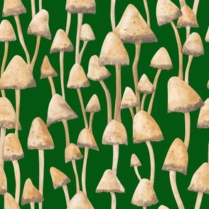 Brown mushrooms on a green background.