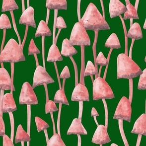 Pink mushrooms