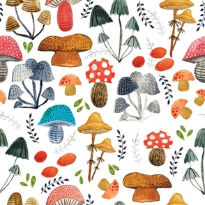 watercolors mushrooms 