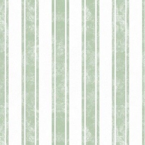 Medium Scale Vertical French Ticking Textured Pinstripes in Soft Mist Sage Green and White