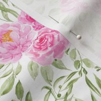 Medium Scale Soft Pink Watercolor Peonies