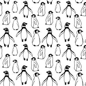 Penguins (white)