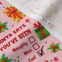Medium Scale Santa Says You've Been Naughty Nice A Massive Cunt Sarcastic Sweary Holiday Humor on Pink