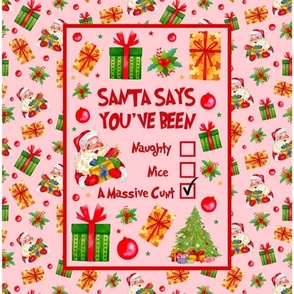 14x18 Panel Santa Says You've Been Naughty Nice A Massive Cunt Sarcastic Sweary Holiday Humor on Pink for DIY Garden Flag Small Wall Hanging or Tea Towel