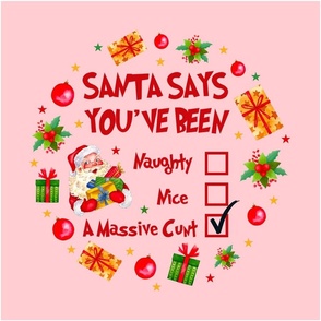 18x18 Panel Santa Says You've Been Naughty Nice A Massive Cunt Sarcastic Sweary Holiday Humor on Pink for DIY Throw Pillow Cushion Cover or Tote Bag