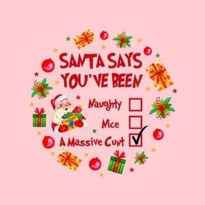 4" Circle Panel Santa Says You've Been Naughy Nice A Massive Cunt Sarcastic Sweary Holiday Humor in Pink for DIY Embroidery Hoop Projects Quilt Squares Iron on Patches