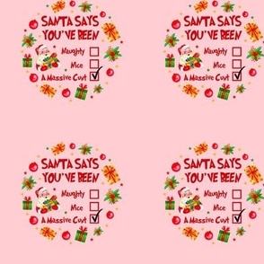3" Circle Panel Santa Says You've Been Naughy Nice A Massive Cunt Sarcastic Sweary Holiday Humor in Pink for DIY Embroidery Hoop Projects Quilt Squares Iron on Patches Small Crafts