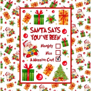 14x18 Panel Santa Says You've Been Naughty Nice A Massive Cunt Sarcastic Sweary Holiday Humorfor DIY Garden Flag Small Wall Hanging Tea Towel or Gift Bag