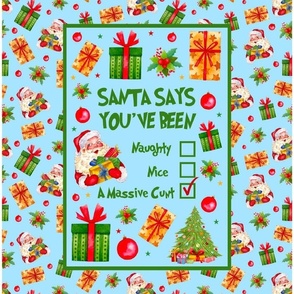 14x18 Panel Santa Says You've Been Naughty Nice A Massive Cunt Sarcastic Sweary Holiday Humor on Blue for DIY Garden Flag Small Wall Hanging Tea Towel or Bag 