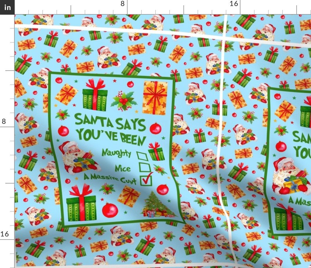 14x18 Panel Santa Says You've Been Naughty Nice A Massive Cunt Sarcastic Sweary Holiday Humor on Blue for DIY Garden Flag Small Wall Hanging Tea Towel or Bag 