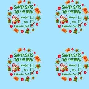 3" Circle Panel Santa Says You've Been Naughty Nice A Massive Cunt Sarcastic Sweary Holiday Humor on Blue for Embroidery Hoop Projects Quilt Squares Iron on Patches Small Crafts