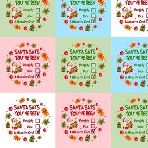 3x3 Santa Says You've Been Naughty Nice A Massive Cunt Sarcastic Sweary Holidays for Peel and Stick Wallpaper Stickers Labels Gift Tags