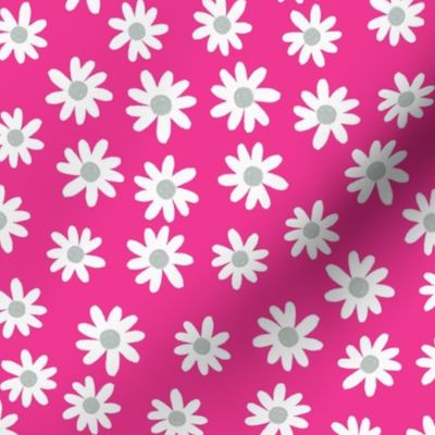 gray and hot pink daisies