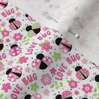Small Scale Love Bug Ladybugs in Pink and Green