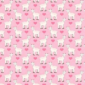 Small Scale Baby Goats and Hearts in Pink