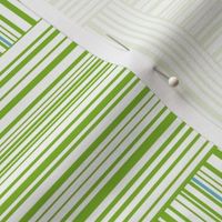 Amazing-Green-Stripes