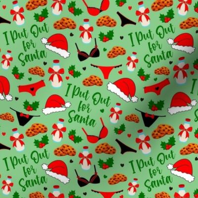 Small-Medium Scale I Put Out for Santa Funny Sarcastic Christmas Milk and Cookies on Green