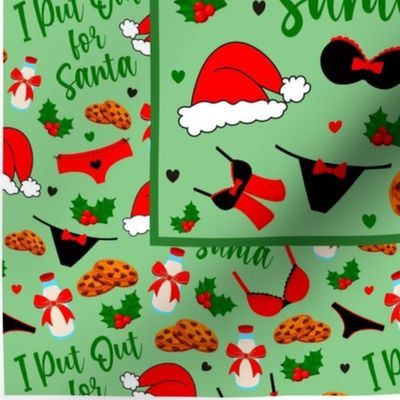 14x18 Panel I Put Out for Santa Sarcastic Christmas Milk and Cookies for DIY Garden Flag Small Wall Hanging or Tea Towel