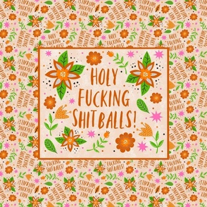 21x18 Fat Quarter Panel Holy Fucking Shitballs Sarcastic Sweary Adult Humor for Placemat or Pillowcase