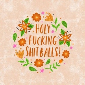 Swatch 8x8 Square Holy Fucking Shitballs Sarcastic Sweary Adult Humor Fits 6" Embroidery Hoop for Wall Art or Quilt Square 