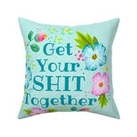 18x18 Panel Get Your Shit Together Sarcastic Sweary Adult Humor for Throw Pillow or Cushion