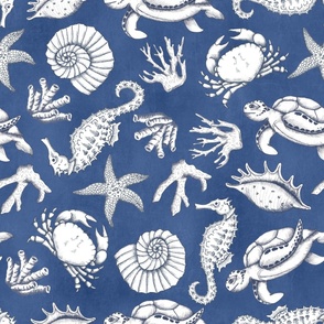 Large Scale Sea Life Nautical Seashore Beach Treasures  Seashells Ocean Treasures on Royal Blue