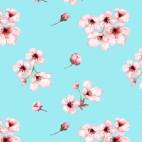 Sakura in Turqouise Background