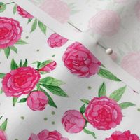 Smaller Scale Hot Pink Peonies Peony Flower Garden on White