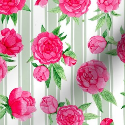 Bigger Scale Hot Pink Peonies Peony Flower Garden on Pale Sage French Ticking Stripes