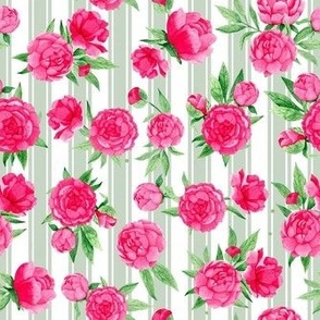 Smaller Scale Hot Pink Peonies Peony Flower Garden on Pale Sage French Ticking Stripes